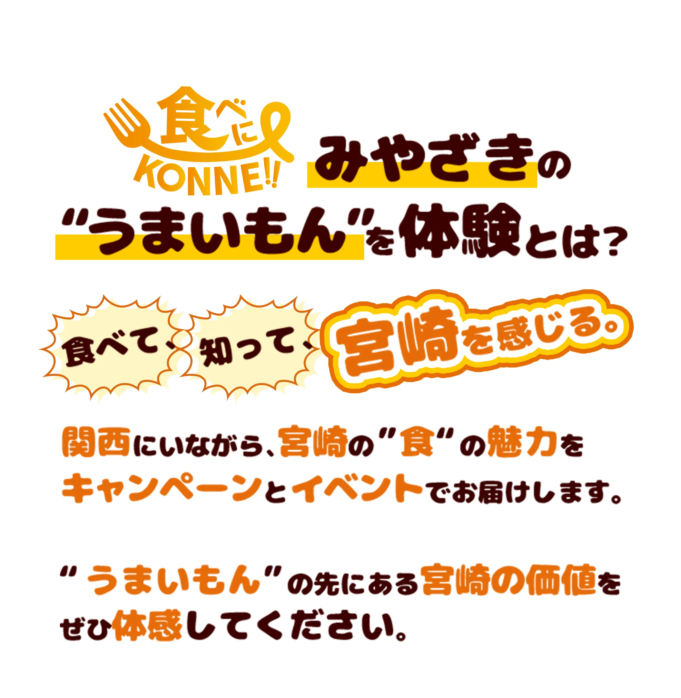 みやざきの“うまいもん”を体験とは？